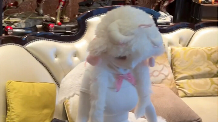 假装自己是阳台哥家的小手办