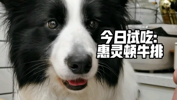 ฉลองครบรอบหนึ่งสัปดาห์ที่ห้าร้อยกลับบ้าน วันนี้เรามากินสเต็กกัน!