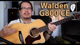 Walden G800CE Acoustic Guitar Demo Review
