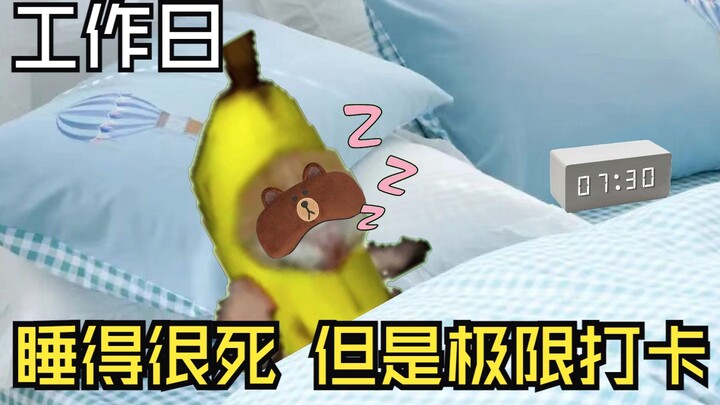 Kucing Pisang Ketiduran di Hari Kerja Tapi Tetap Berhasil Absen Maksimal