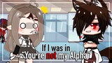 If I was in "You're not my Alpha" (Gacha Club/Life)