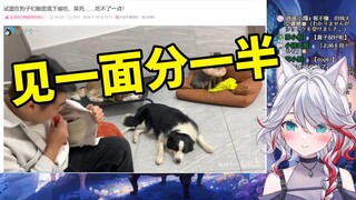日本天然小姐姐看《试图在狗子们眼皮底下偷吃，笑死......吃不了一点！》