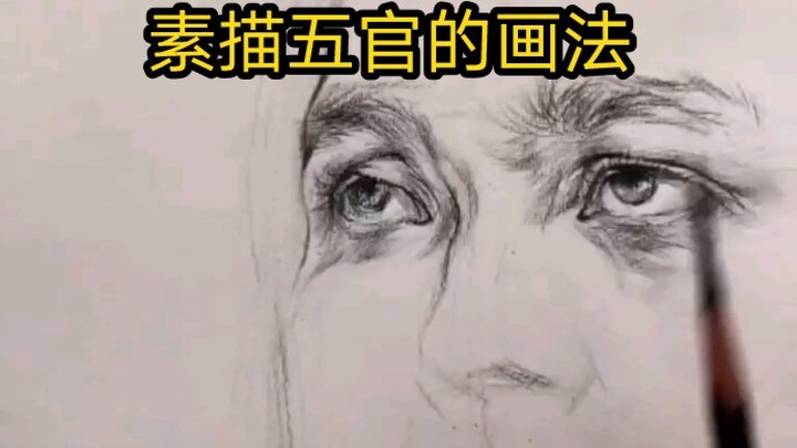 Cara Menggambar Bagian Wajah dalam Sketsa