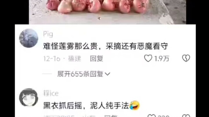 难怪莲雾那么贵，采摘还有恶魔看守
