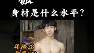 Hình dạng cơ thể của con cáo là gì?