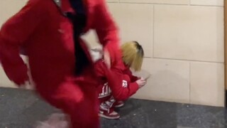 猫语：猫咪快过来