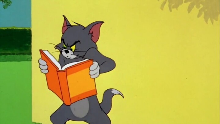 "WBG World Championship Storm"