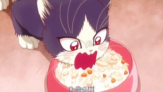 开局那画面 像极了上厕所的你 番名同居人是猫