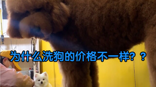 Why do dog washes cost different prices? Because washing a car is different from washing a train!