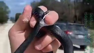 Catching the snake