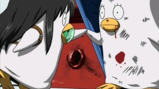 [Katsura Kotaro & Elizabeth] Zila and Shabai have a better relationship
