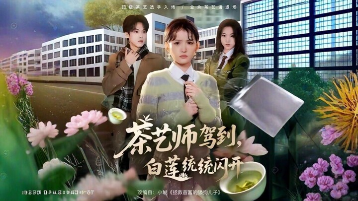 The Tea Master Arrives, White Lotuses Move Aside | Cháyì Shī Jiàdào, Báilián Tǒngtǒng Shǎnkāi | 茶艺师驾