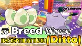 วิธี Breed ไข่โปเกมอน & การหาเมตามอน(Ditto) | Pokemon Scarlet & Violet [ PeExTic Research ]