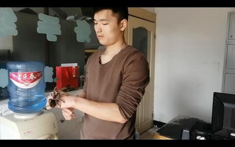 ALEX dancing like a spider