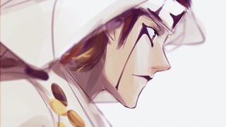 Saya adalah santo pelindung Alabasta - "Falcon"!