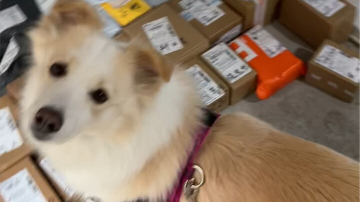 You’re not going to tattle on me again today, are you?