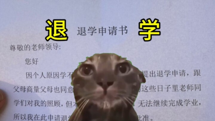 我终于退学了，终于解放了。