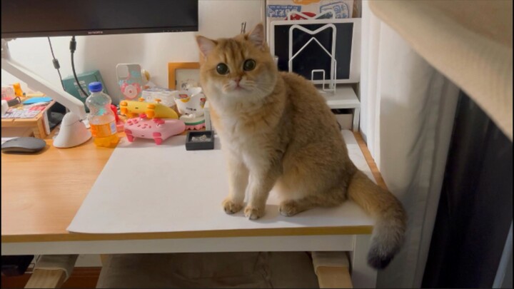 Orang yang sesekali datang untuk mencuri kotoran itu