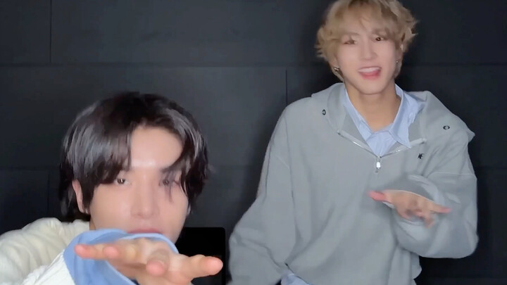 Cats and dogs passionately perform Liang Zhenyuan and Shen Zailun TikTok update: 𝑴𝒚𝒔𝒕𝒆𝒓𝒚 𝒅𝒖𝒐 👀