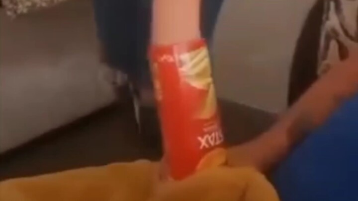 อย่าหยิบมันฝรั่งทอดของคนอื่นมาโดยไม่ได้ขออนุญาต