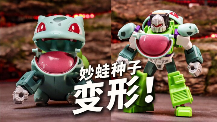 妙蛙种子！变形！小布宝可梦来啦！
