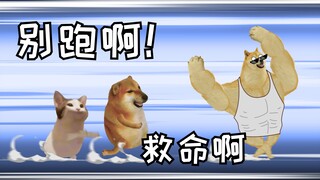 เมื่อคนรักสองคนเรียนรู้ที่จะพูดจาไร้สาระ วรรณกรรมจึงช่างน่าสนุก