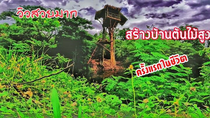 สร้างบ้านต้นไม้สูงคนเดียว วิวสวยมาก