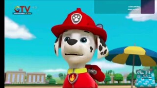 paw patrol Musim 5 Episode 17 dan 18 Bahasa indonesia Global tv