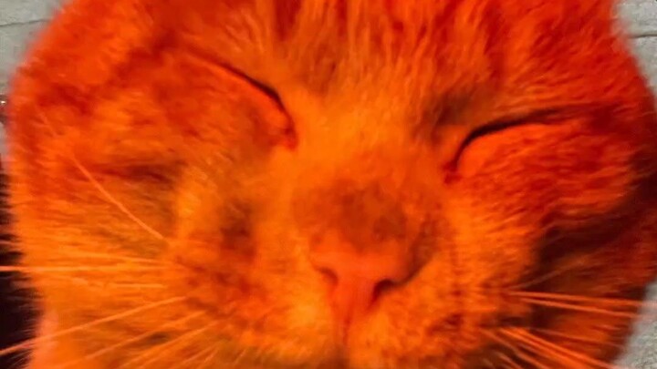 ไม่เข้าใจ