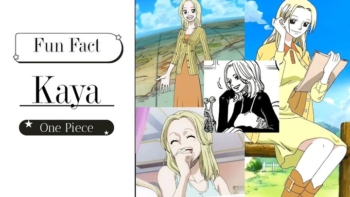 Funfact Kaya dari One Piece