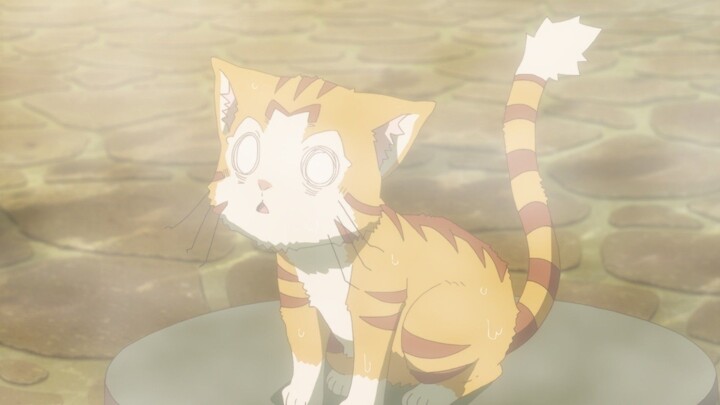 RAJA IBLIS JADI KUCING RUMAHAN NAMUN MENANG BANYAK!!😱🗿