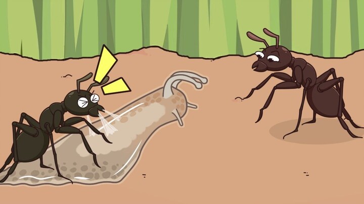 Can a tiny ant really eat a slug?