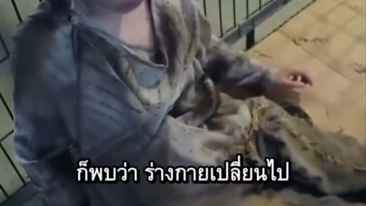 หวังซู่ ผู้นำต้าหลัวเทียน