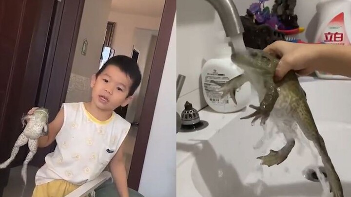 Anak laki-laki memegang kodok besar dan ingin tidur bersama ibunya, sang ibu sampai menggigil ketaku