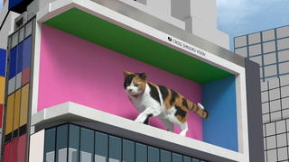 东京新宿街头那只3D猫，拍了支上线一周年纪念短片