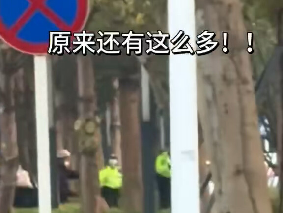 Stop it, Qiaodi! Under the bridge, in the bridge arch, in the dog hole—every green space is packed w