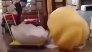 A lazy egg yolk that can clean up egg whites by itself