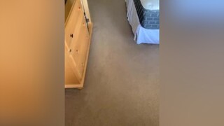 Reposting My most liked tiktok at 13M views fyp foryoupage TiktokBrushes yougotit DeliveryHeroes