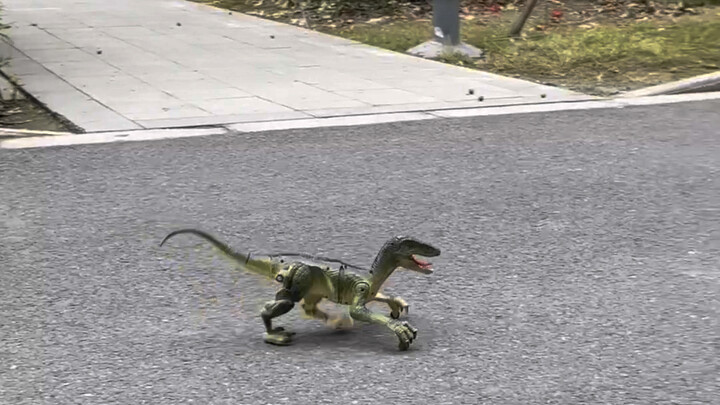 Chẳng ai phát hiện ra! Cơ hội tốt đây～Biến hình!