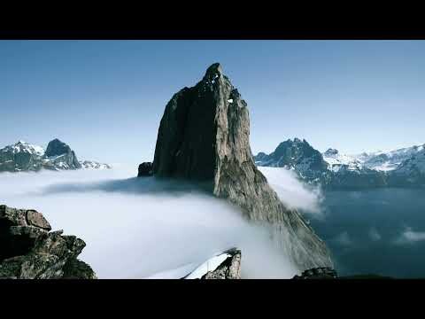 Natural Music for Sleep Insomnia with Birds Sound and Forest Stream