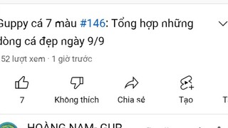 cá cảnh HOÀNG NAM