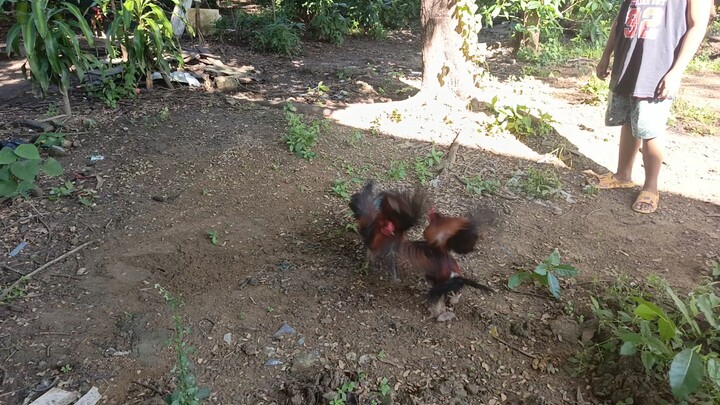 Sunday spar straight sweater