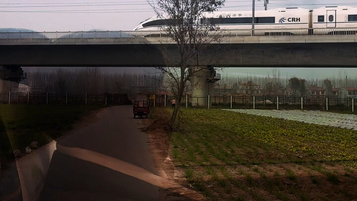 It’s the world that’s sick, not us.