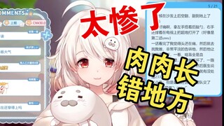 太惨了，豹豹肉肉长在肚子、腿、皮股上，就是没在胸口【白神遥】