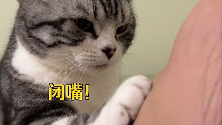 أيتها القطة الصغيرة، أنتِ مشرفة السكن وتتحكمين حتى في ما إذا كنت أنام أم لا!