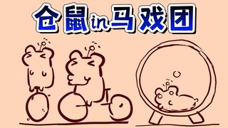 不好啦～仓鼠太太被卖进马戏团表演杂技啦～
