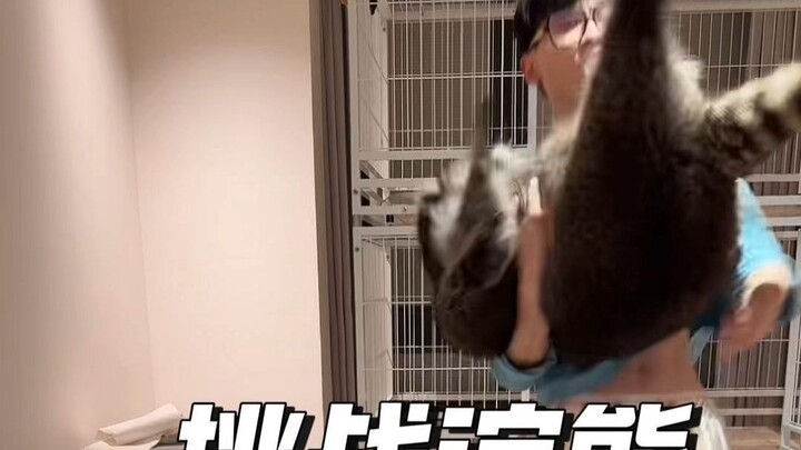 Challenge: Squat 10 Times While Hugging a 40-Lb Raccoon—The Heaviest One Online!