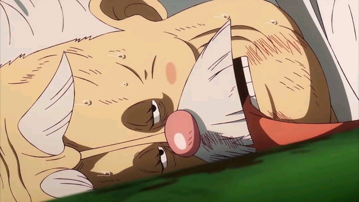 one piece episode 1142 sub indo
