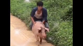 口罩都给我笑飞了哈哈哈哈哈