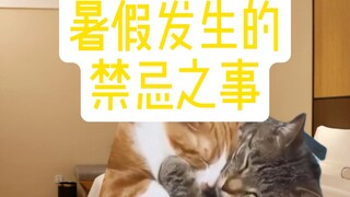 Cat meme: Taboo things that happened during summer vacation